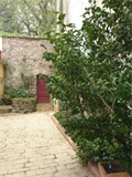 Image du bien UBI445284737